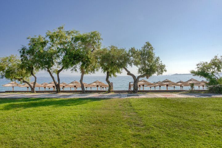 The bay framed by tamarisk trees and grass lawn