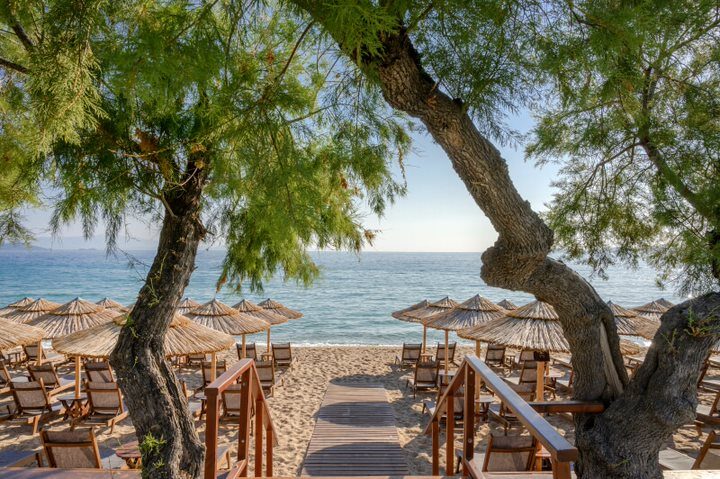 Wooden boardwalk through the sunbed-lined beach